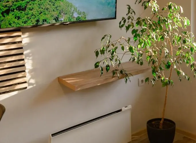 Sen's レスコヴァツ